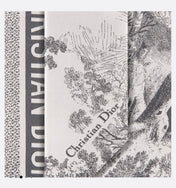 DIOR 26S SCARF 105CM IN SILK 311647