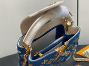 LV CAPUCINES BAG 21 PINIC IN COLORFUL DENIM GOLD HARDWARE