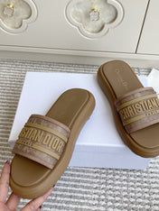 DIOR 26S DWAY SLIDES IN BROWN RUBBER SOLE