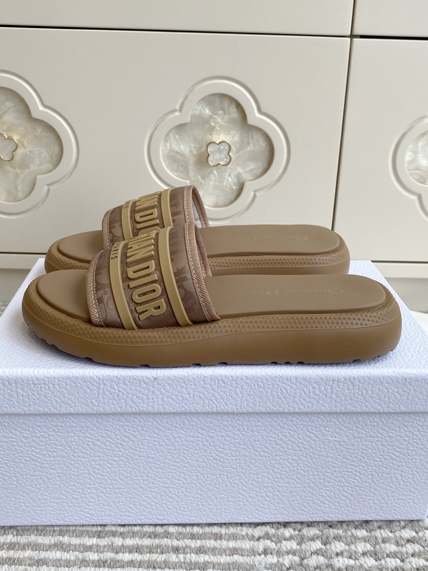 DIOR 26S DWAY SLIDES IN BROWN RUBBER SOLE
