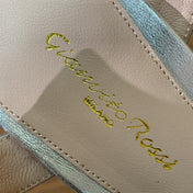 GIANVITO ROSSI 26S PLATFORM SANDALS 115 MM IN SILVER CALFSKIN