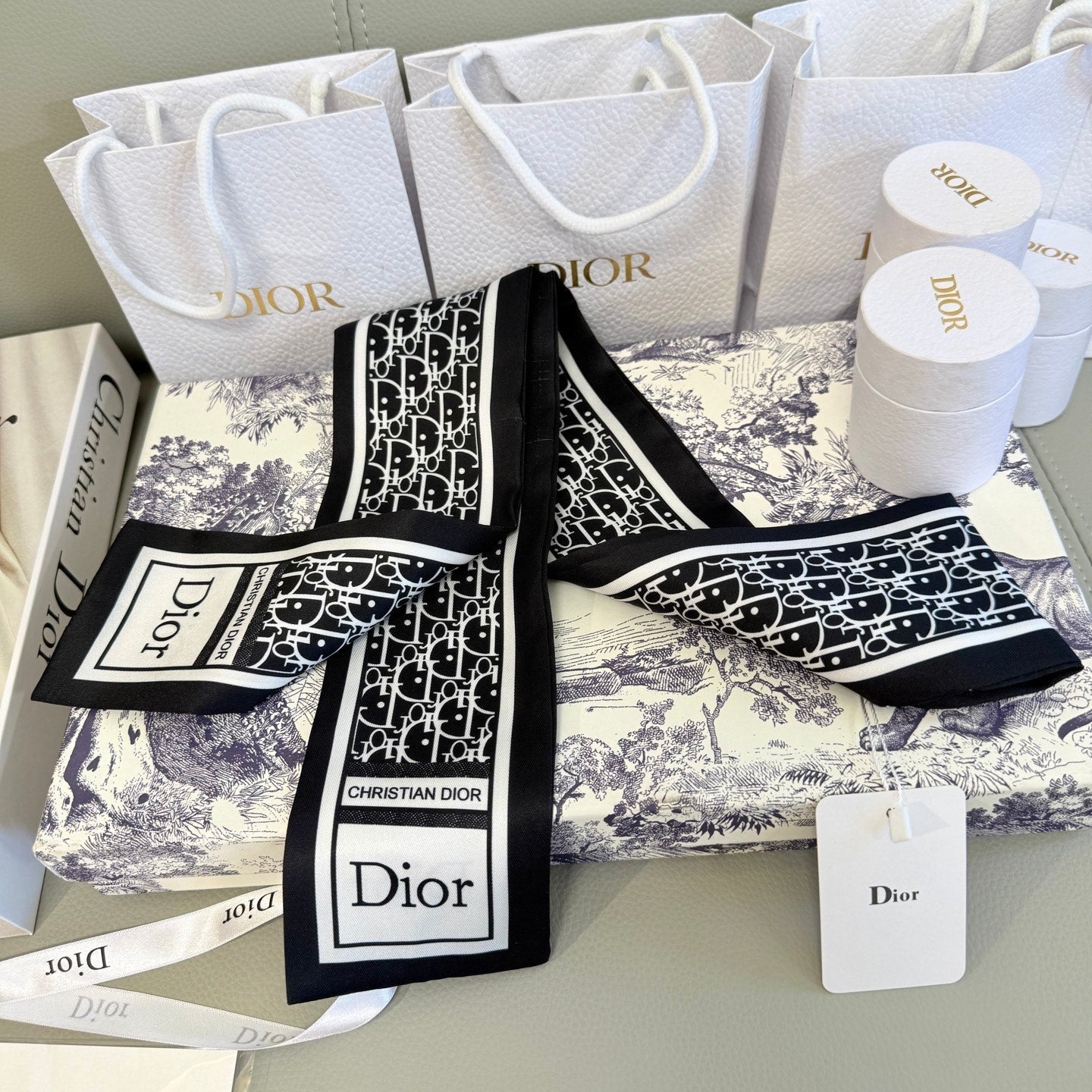 DIOR 26S SCARF 100CM IN SILK 316475