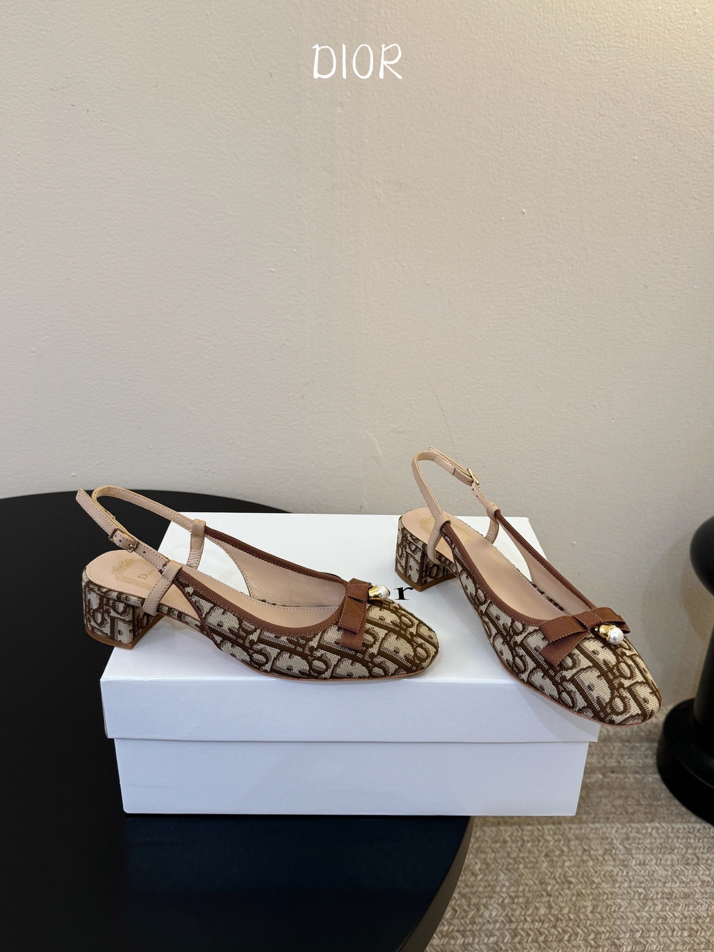 DIOR 26S BALLET SLINGBACK PUMPS IN BROWN DIOR OBLIQUE EMBROIDERED CANVAS