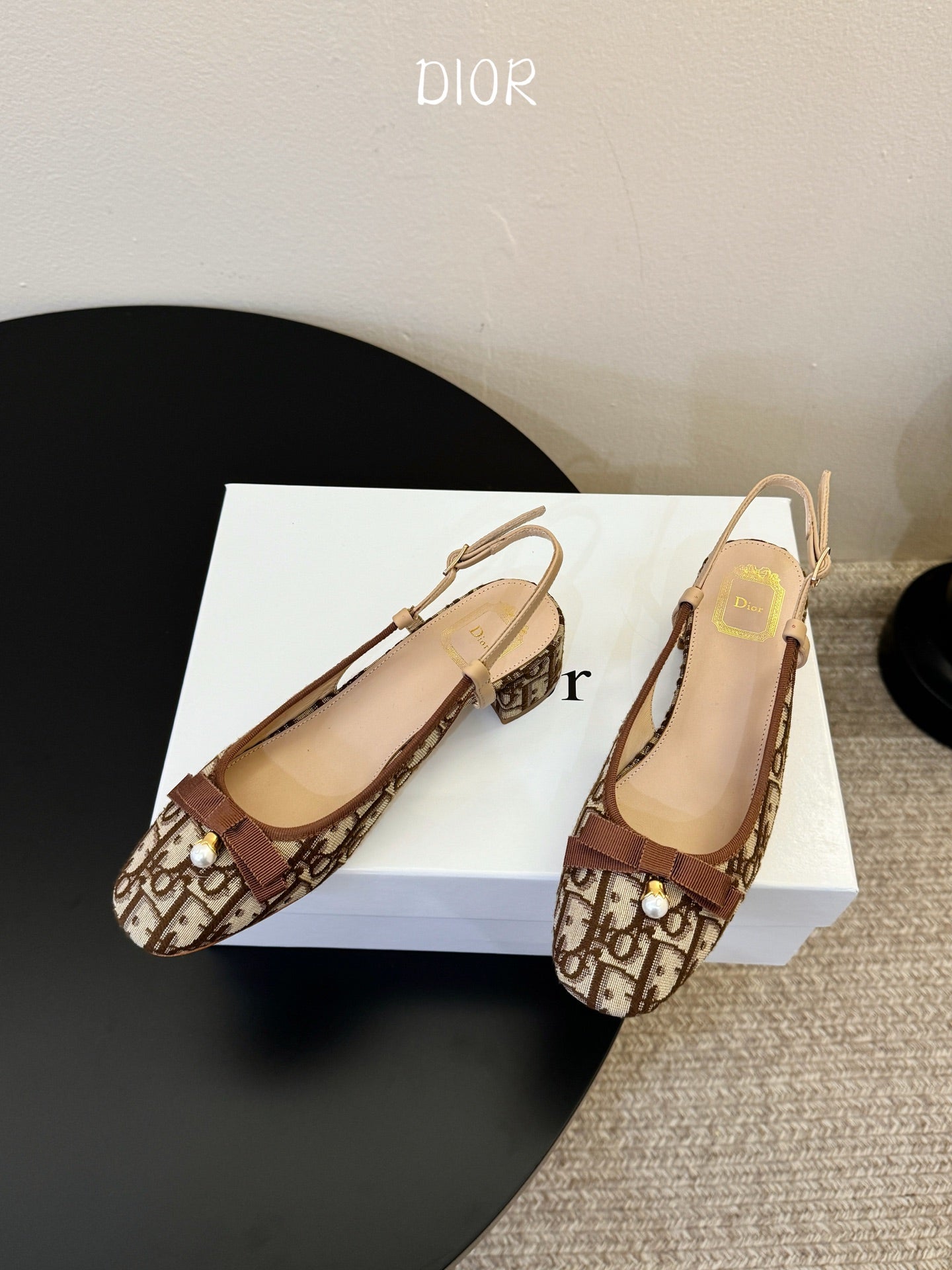 DIOR 26S BALLET SLINGBACK PUMPS IN BROWN DIOR OBLIQUE EMBROIDERED CANVAS