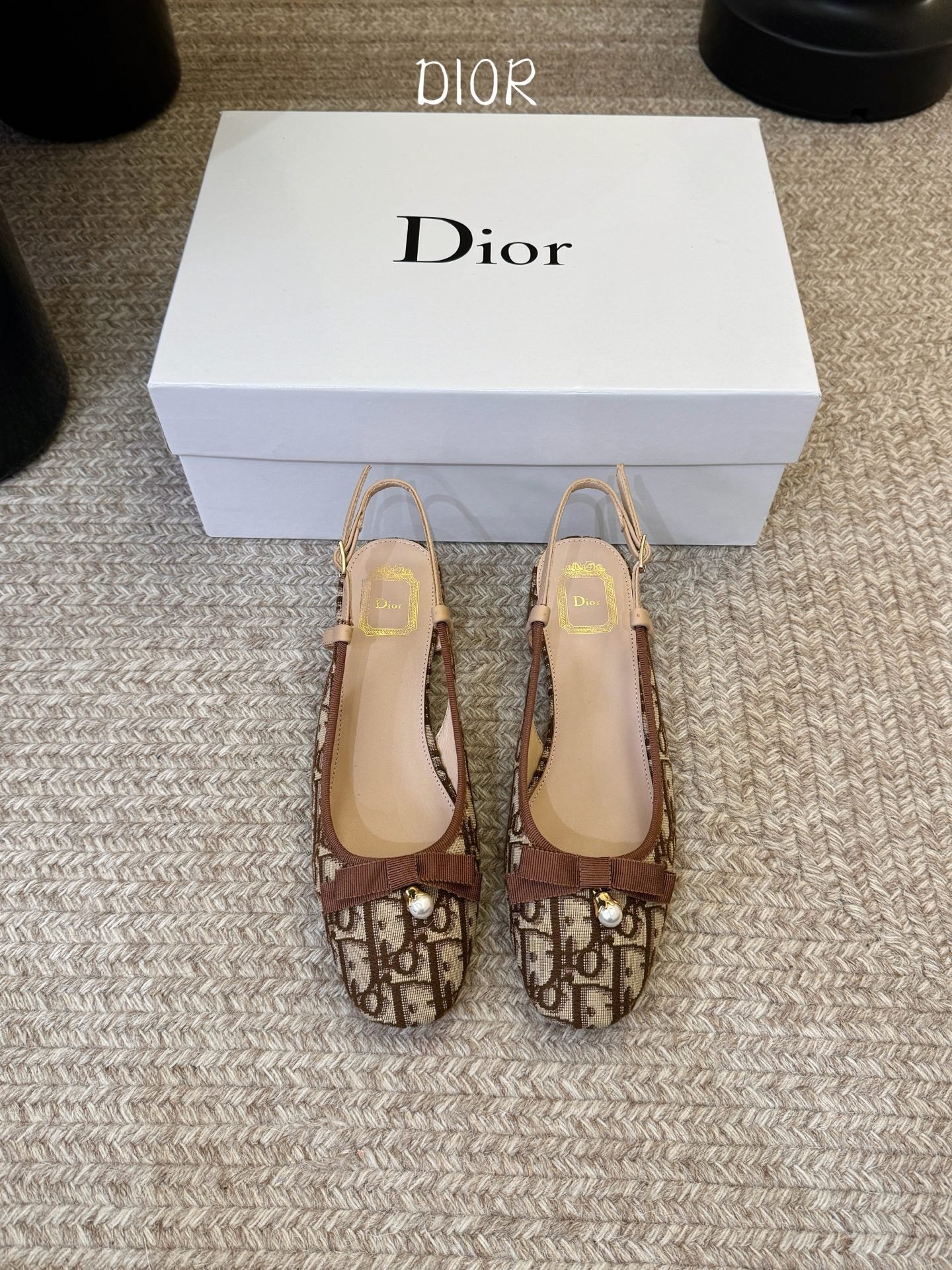 DIOR 26S BALLET SLINGBACK PUMPS IN BROWN DIOR OBLIQUE EMBROIDERED CANVAS