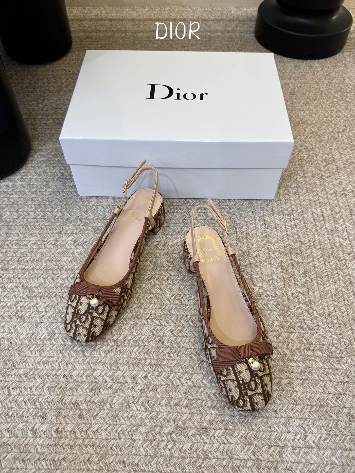 DIOR 26S BALLET SLINGBACK PUMPS IN BROWN DIOR OBLIQUE EMBROIDERED CANVAS