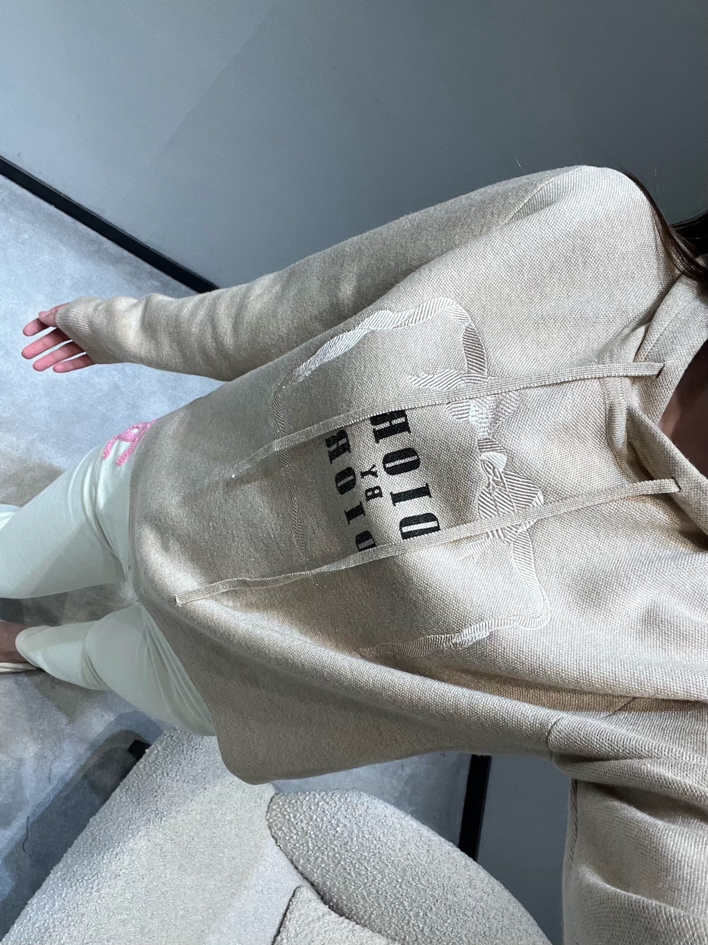 DIOR 26S HOODIE 890