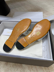 DIOR 26S DWAY CANNAGE SLIDE IN SILVER LAMBSKIN