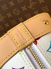 ALMA BB BAG 23 IN COLORFUL MONOGRAM COWHIDE GOLD-TONE HARDWARE