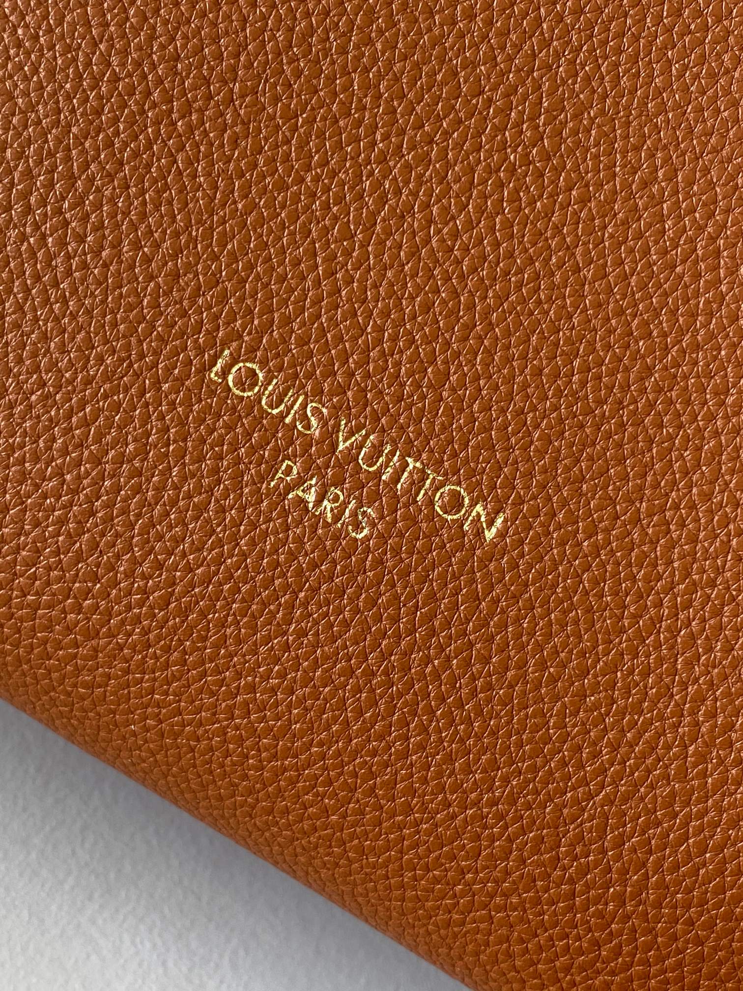 LV 25S LOW KEY HOBO BAG 28 CM IN BURNT ORANGE CALFSKIN