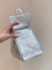 CC 25 HANDBAG IN SILVER-TONE 30 GRAINED CALFSKIN GOLD HARDWARE